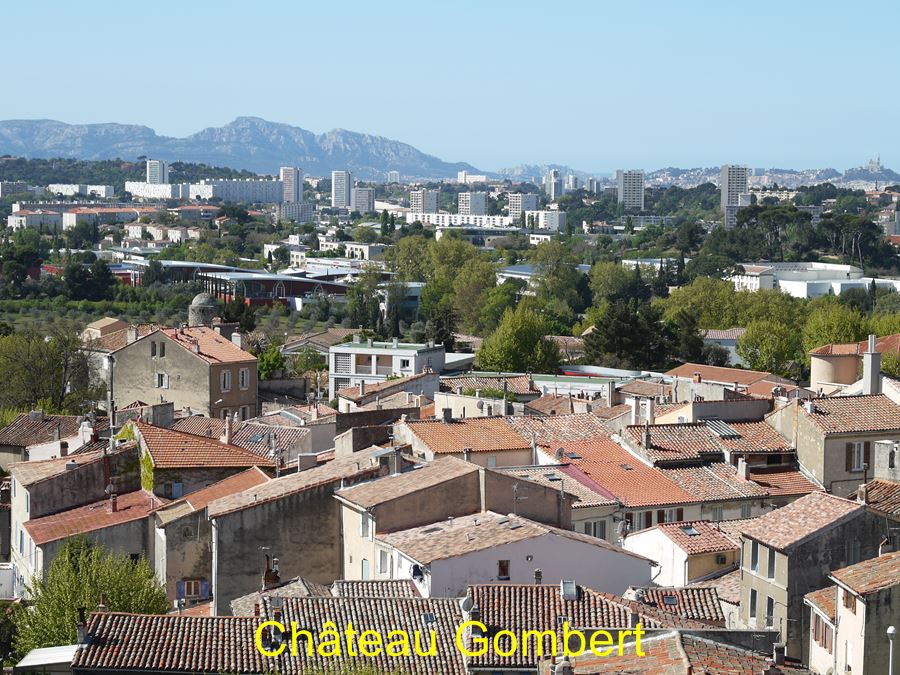 Chateau Gombert